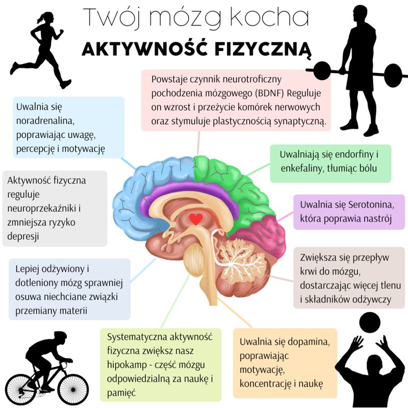 Best verafit in Poland